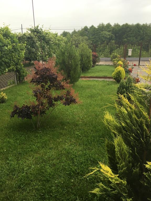 Vila La Izvor Petresti Eksteriør bilde